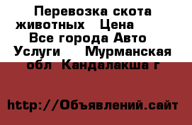 Перевозка скота животных › Цена ­ 39 - Все города Авто » Услуги   . Мурманская обл.,Кандалакша г.